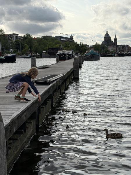 A young child leans over a wooden pier, reaching towards a group of ducks and ducklings swimming in the water